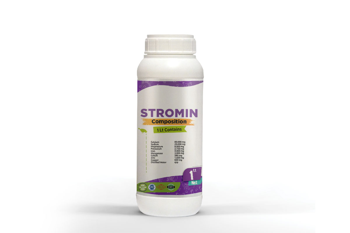 Stromin