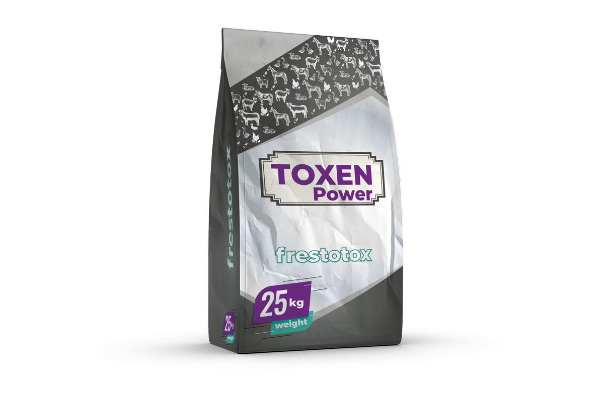 Toxen Power